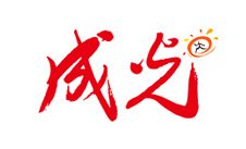 成光传媒